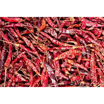 Common Guntur Dry Red Chilli